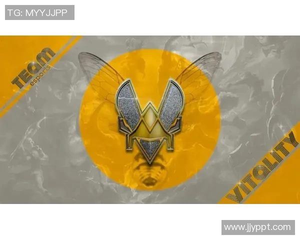 CS冬季大型锦标赛:TeamVitality选手FLT谈适应新团队